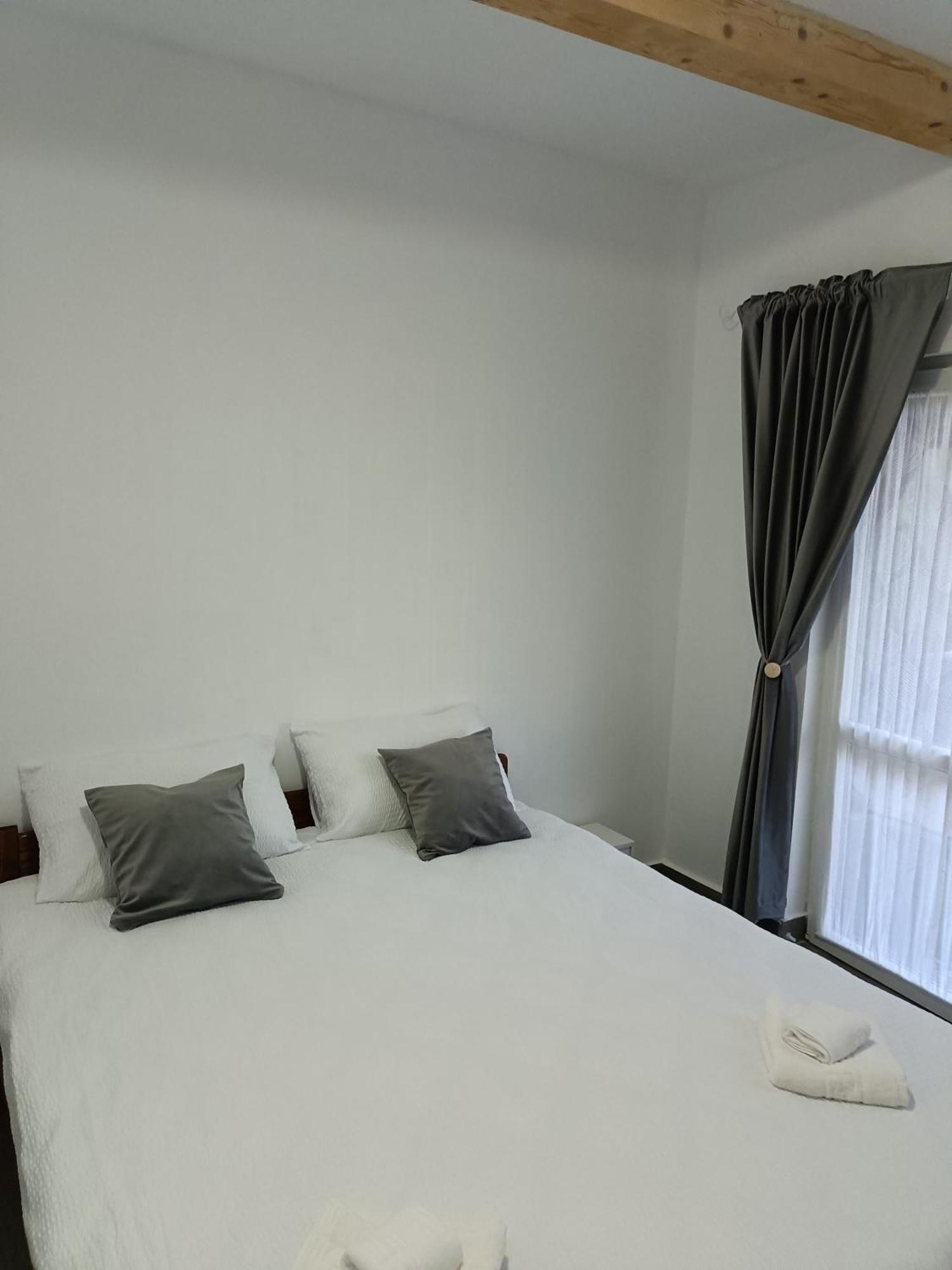 Casa Valentina 호텔 Vişeu de Sus 외부 사진